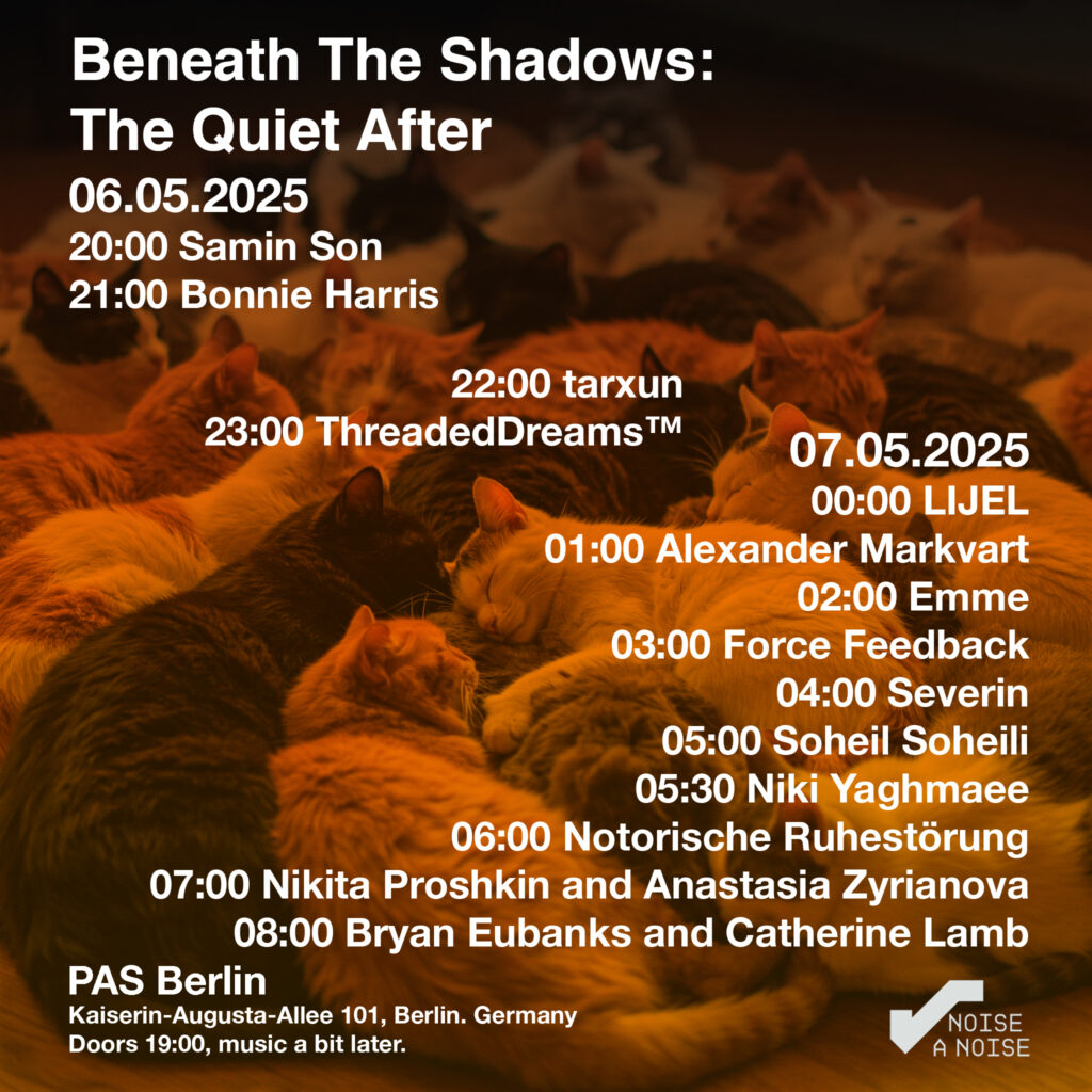 'Beneath The Shadows: The Quiet After' sleeping concert